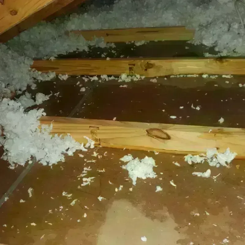 Attic Water Damage in Mountain House, CA