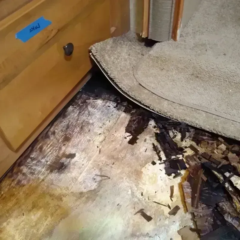 Wood Floor Water Damage in Mountain House, CA